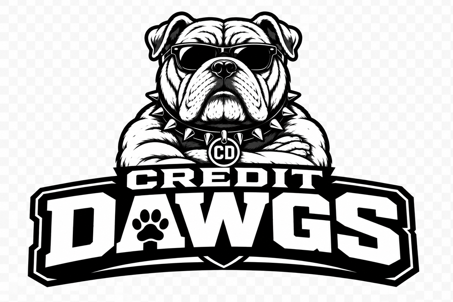 Credit Dawgs — home